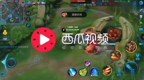 娱乐吃瓜背景音乐推荐